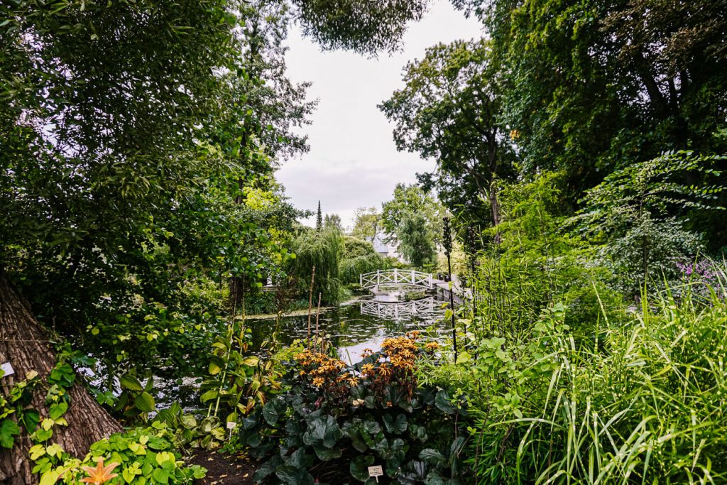 uitzicht op botanische tuinen in Tartu