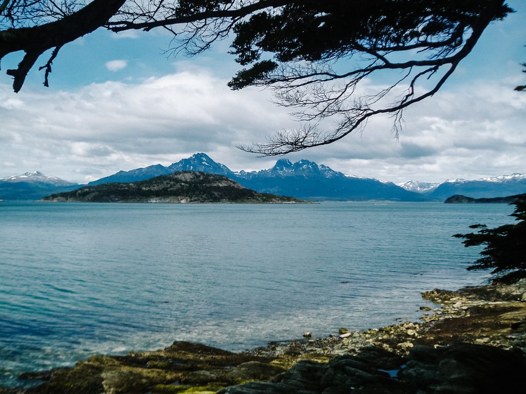 Tierra del Fuego national park Argentina.