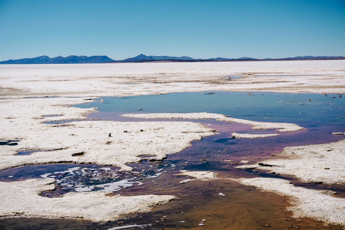 On the edge of the salt flat, you will find the ojos de salar, the eyes of the salt flat. Here the salt is very thin and you can see the water bubbling from the underground rivers, wich comes along with a heavy sulfur odor. 