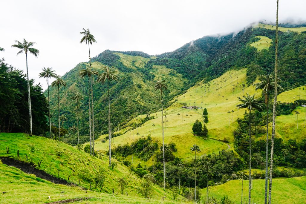 Uitzicht op Valle de Cocora Colombia.