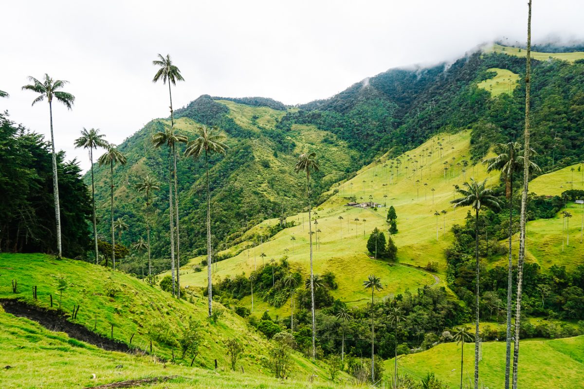 Views from the mirador during the Valle de Cocora hike in Colombia.