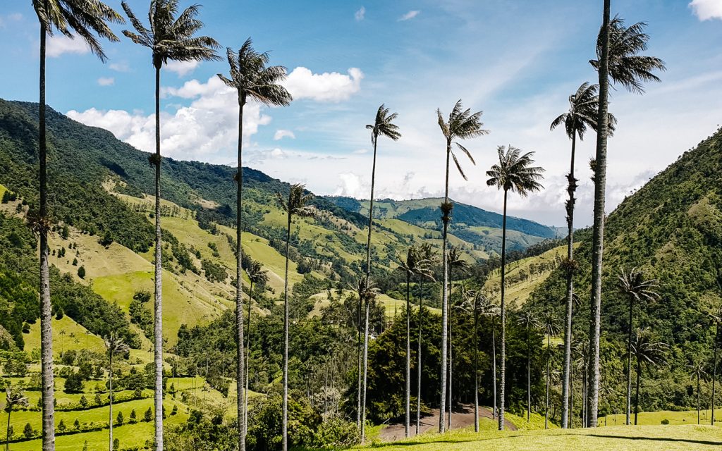 Uitzicht op Valle de Cocora Colombia.