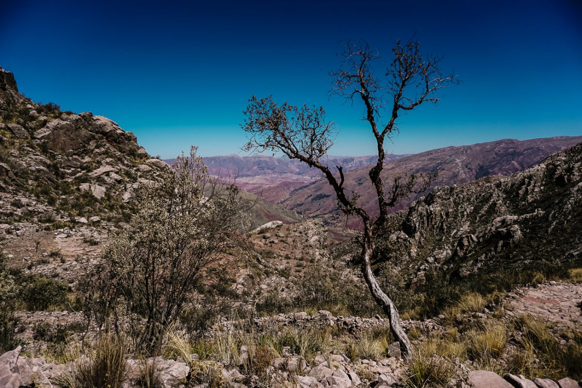 hiking in Bolivia | view of trail