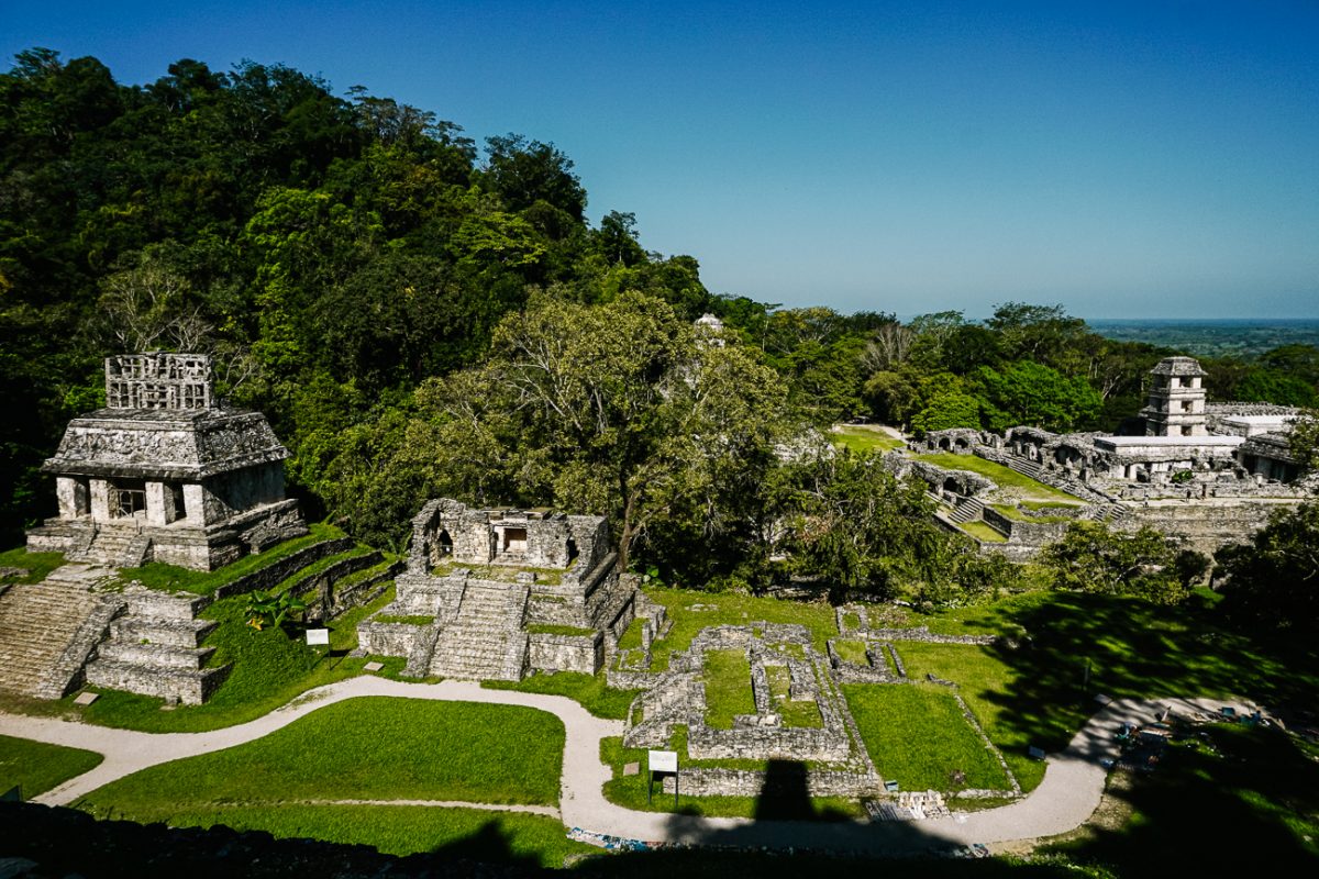 Palenque - Maya tempels in de jungle van Mexico.