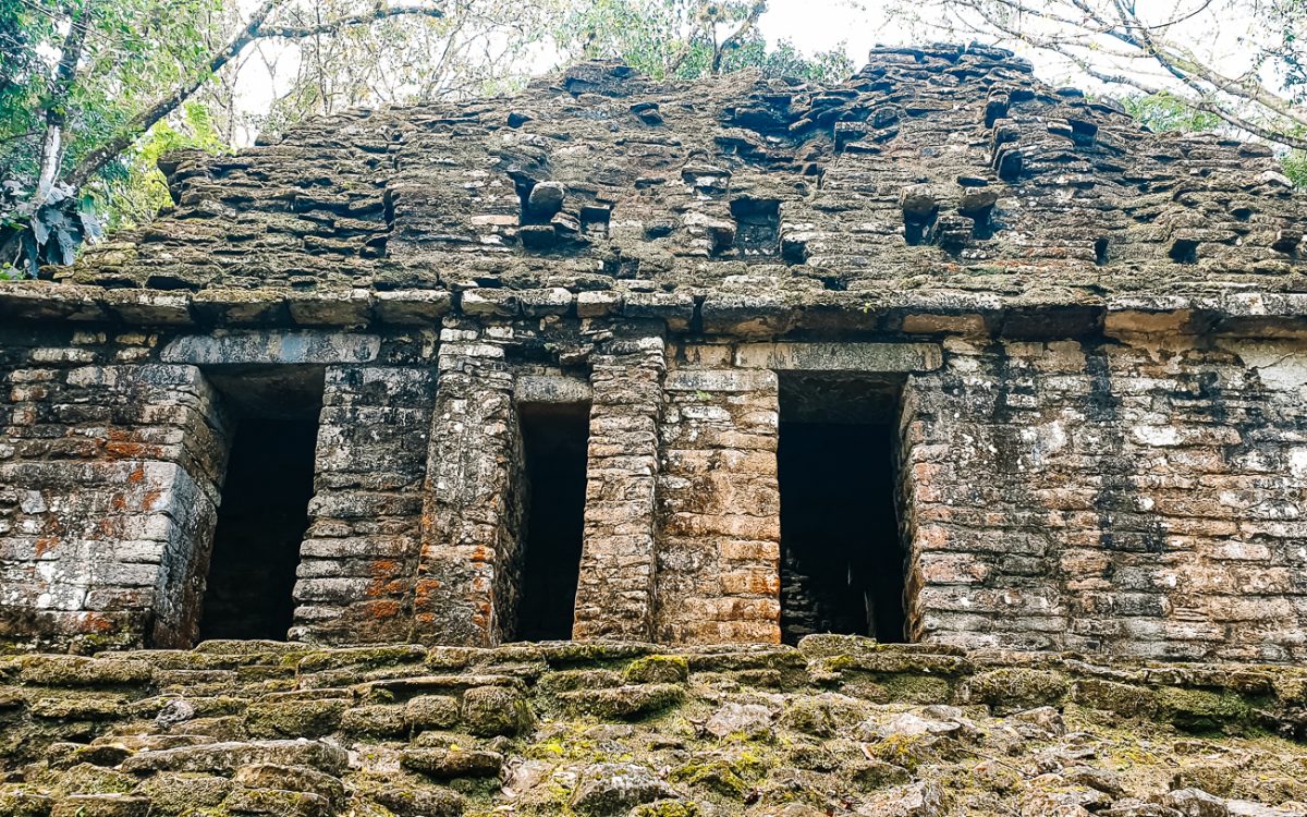Maya ruins in the jungle.
