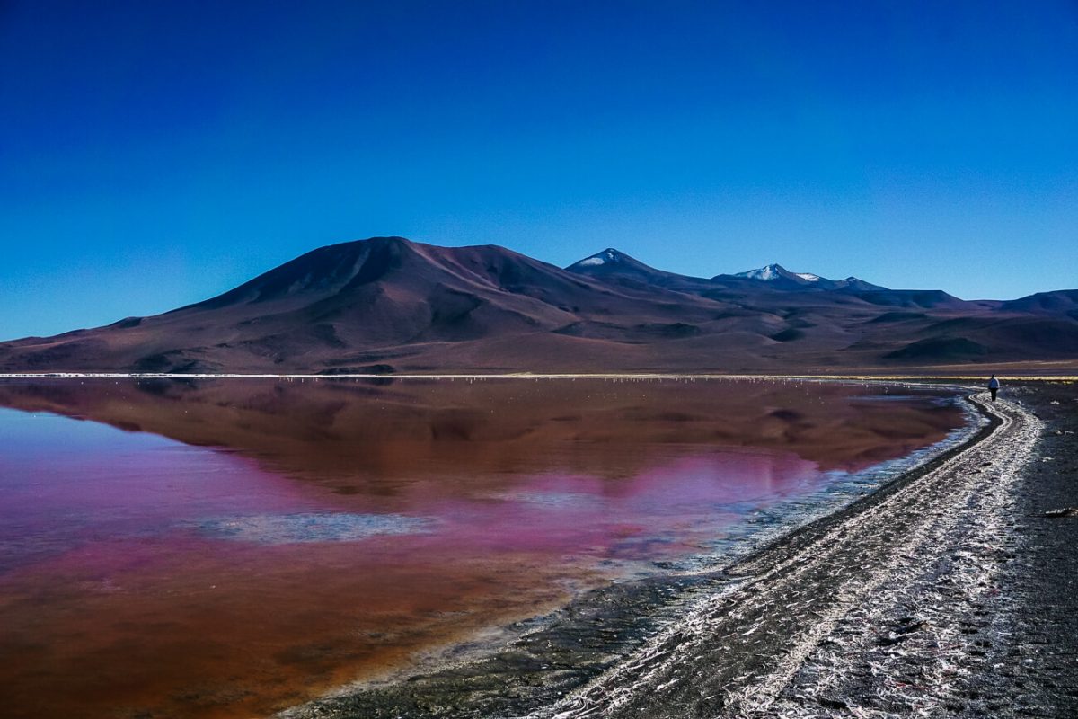 Bolivia Laguna colorado