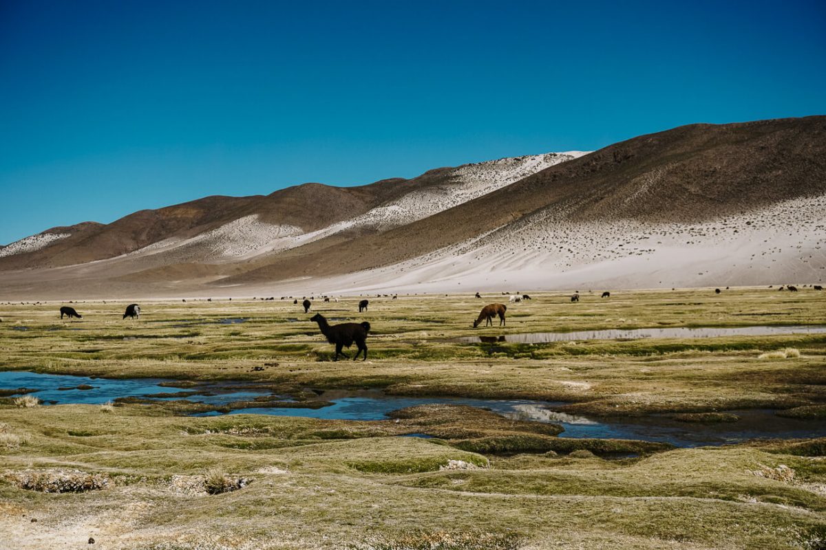 best time to visit bolivia