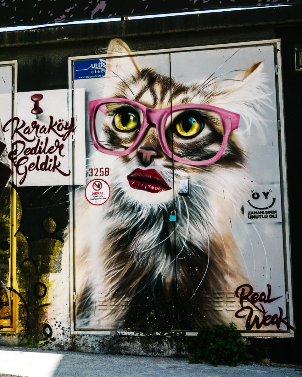 katten streetart in Karakoy, een van de leukste wijken in Istanbul