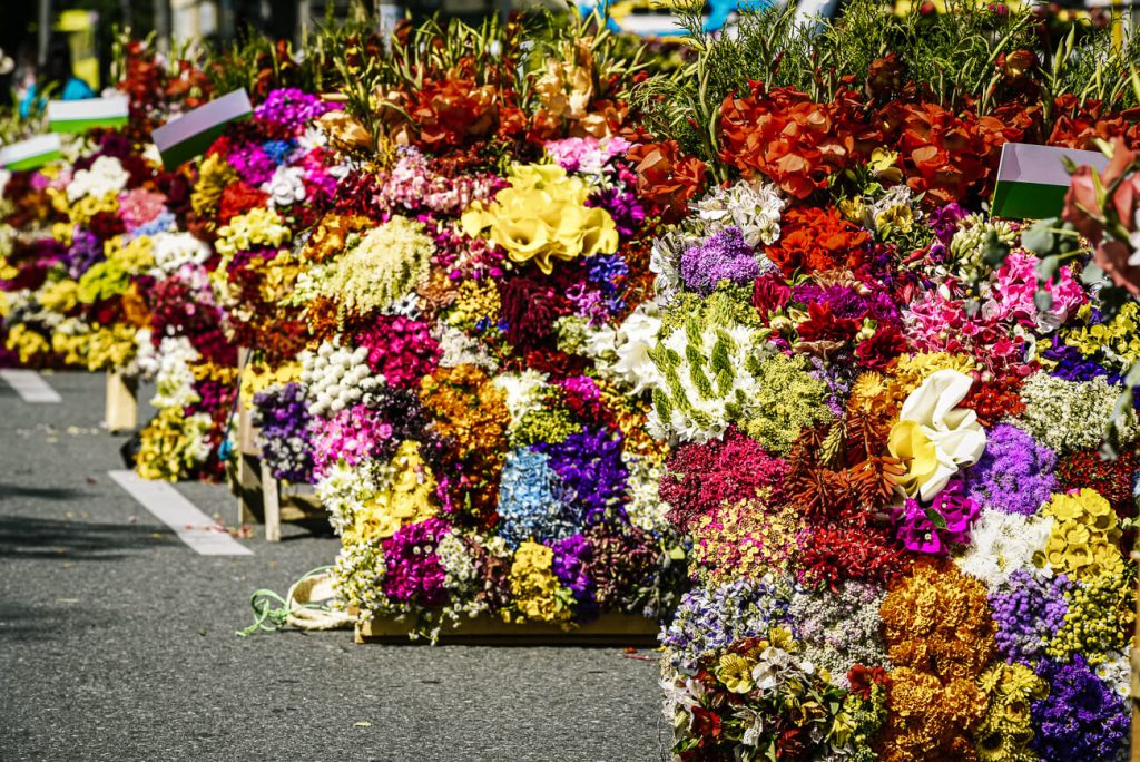 In de eerste week van Augustus staat Medellín in Colombia in het teken van het jaarlijkse bloemenfestival. De regio staat namelijk bekend om de bloementeelt.