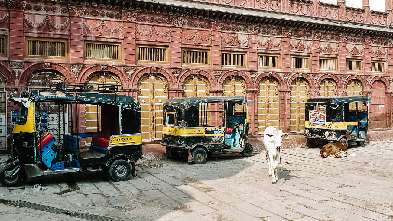 One of the best things to do in Bikaner India, is to walk into the old city center and to immerse yourself in everyday life. 
