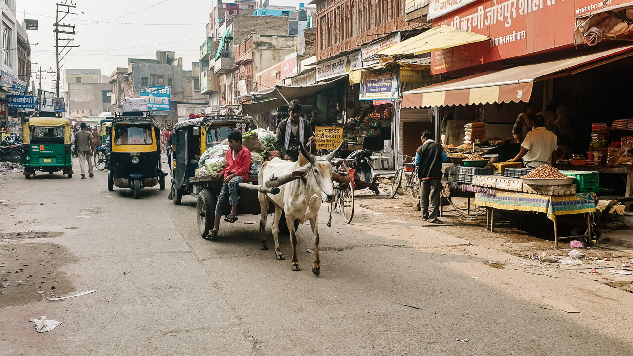 One of the best things to do in Bikaner India, is to walk into the old city center and to immerse yourself in everyday life. 