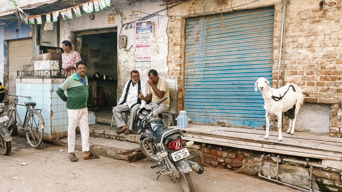 Het allerleukste in Bikaner is om het oude centrum in te lopen en op te gaan in het dagelijkse leven van India.