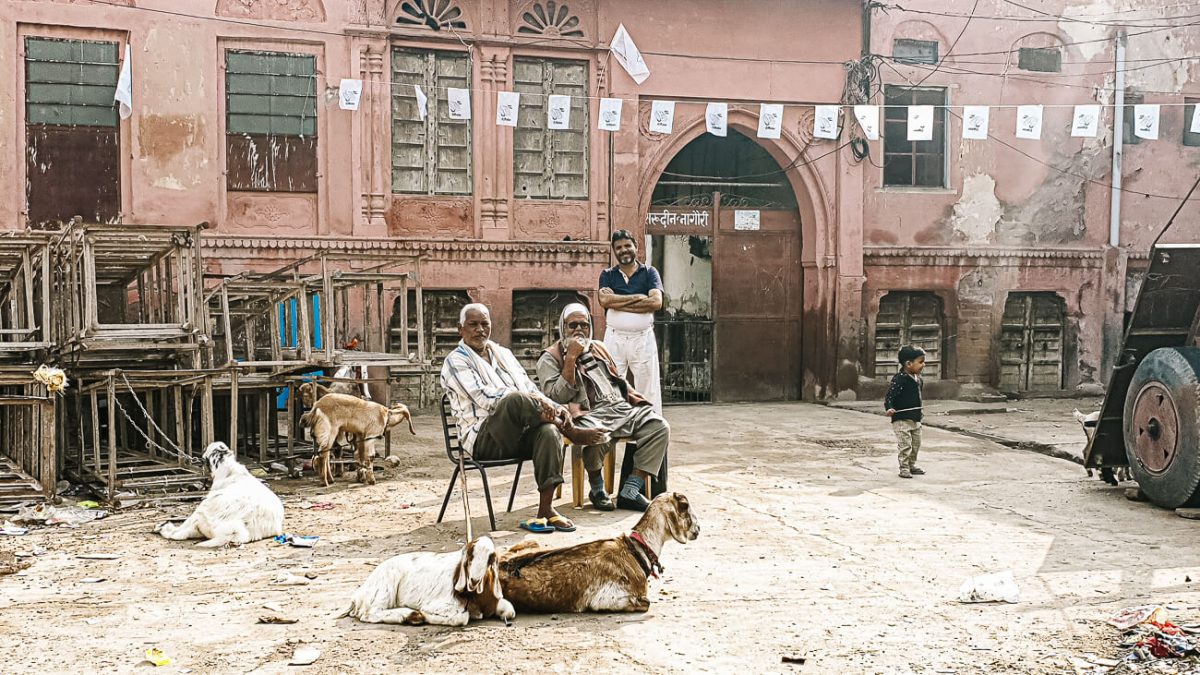 Het allerleukste in Bikaner is om het oude centrum in te lopen en op te gaan in het dagelijkse leven van India.