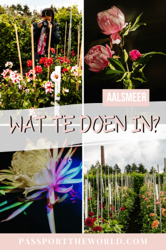 Wil je weten wat te doen in het bloemendorp van Nederland? Lees hier mijn tips voor activiteiten en bezienswaardigheden in Aalsmeer. 