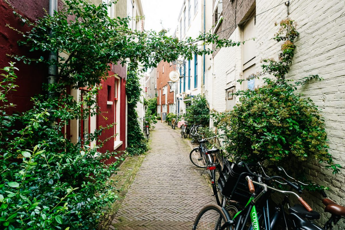 Haarlem streets.