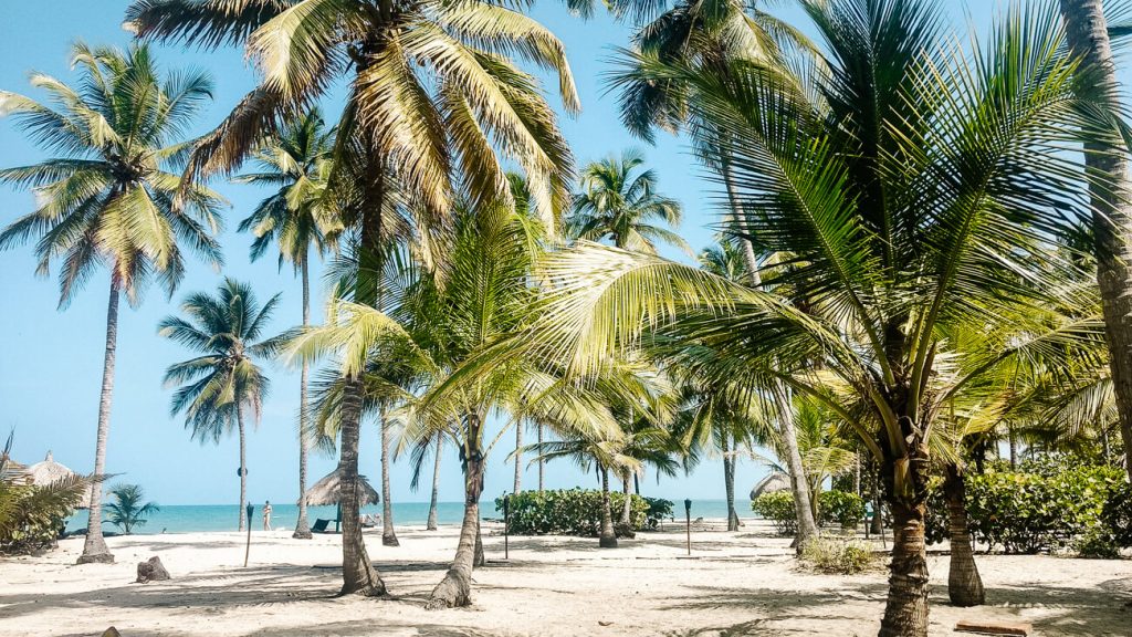 Rondom Palomino vind je de fijnste stranden van de Caribische kust, een van de mooiste plekken in Colombia. 