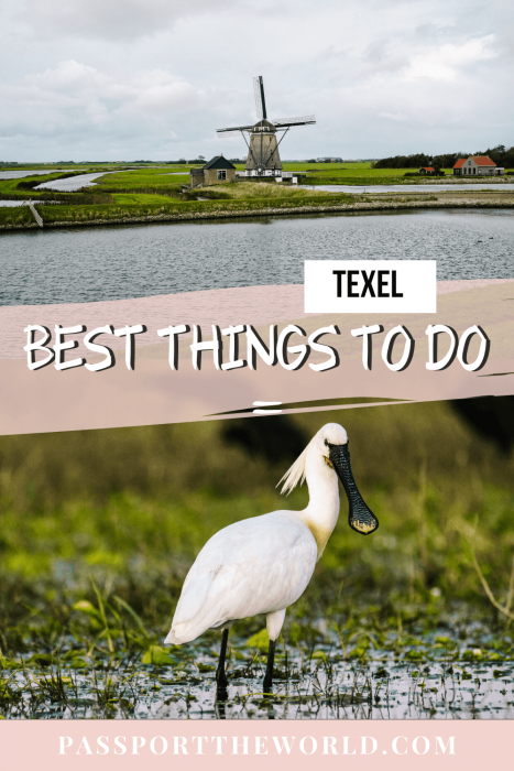 Texel Netherlands - what to do