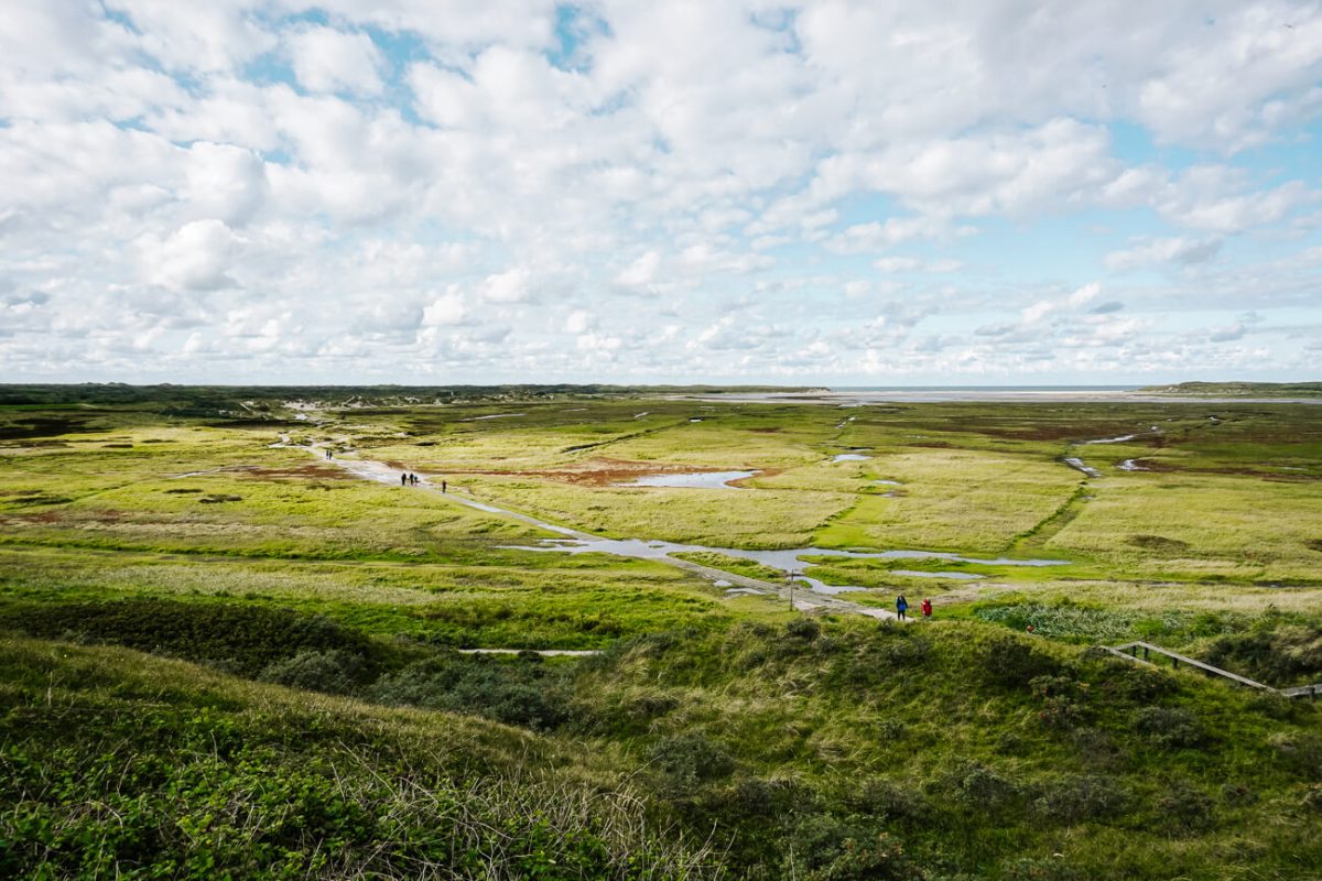 what to do on Texel| hike in de slufter