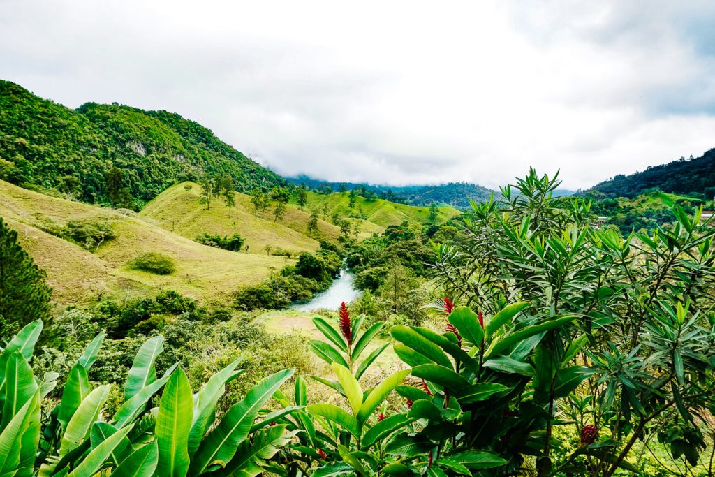 view with greenery in Lanquin