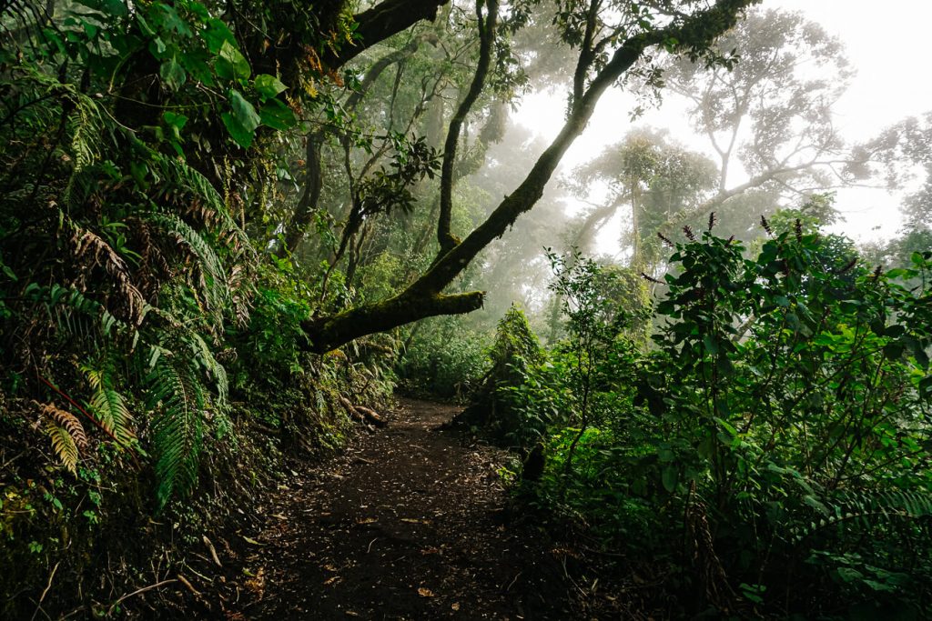 Een van de meest bijzondere tochten en bezienswaardigheden in Guatemala is een tweedaagse hike naar de Acatenango vulkaan. 
