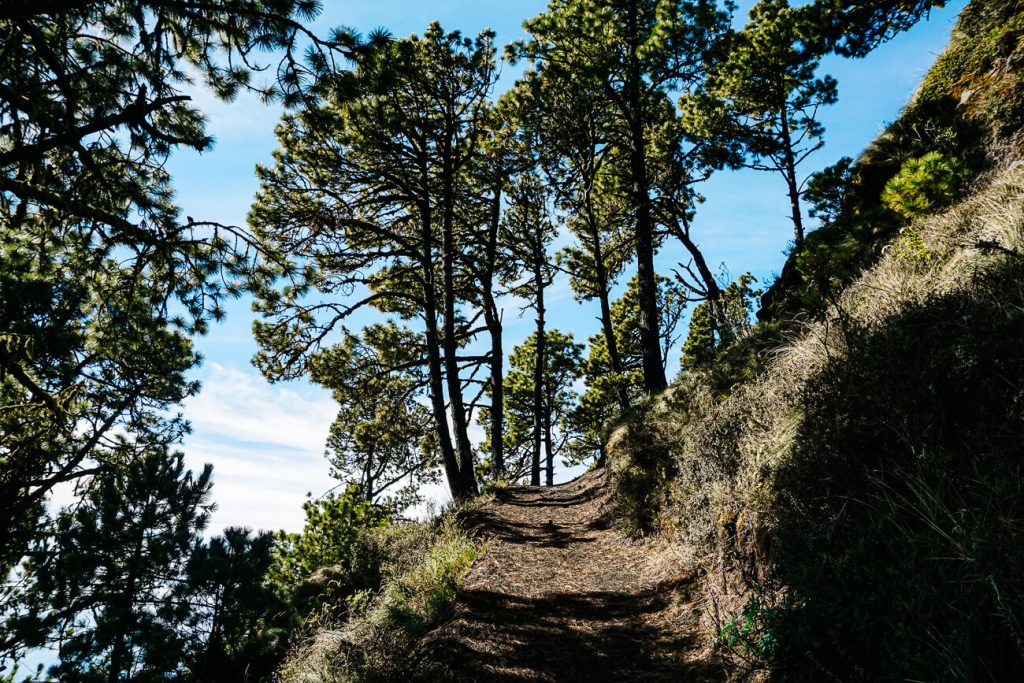 trails when hiking the Acatenango in Guatemala