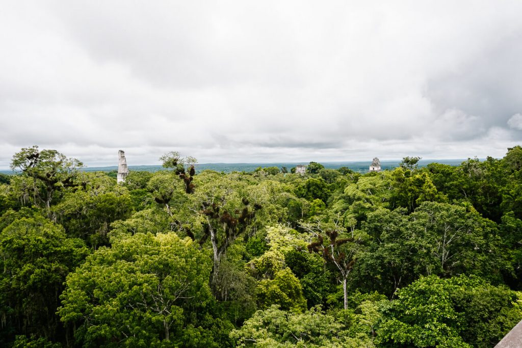 Tikal, one of the top things to do in Guatemala.