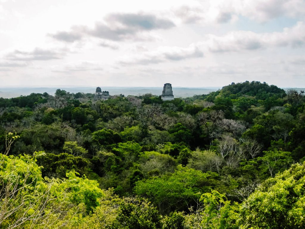 Uitzicht over Tikal - een bestemming om op te nemen in jouw route en rondreis door Guatemala.