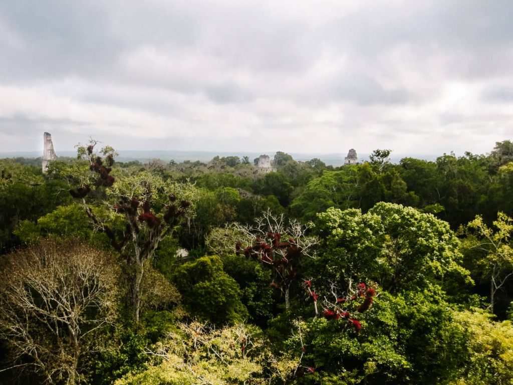 view of mundo perdido in Tikal National Park Guatemala
