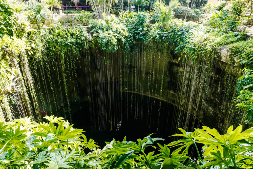 enote Ik Kil, one of the most beautiful Valladolid Mexico Cenotes