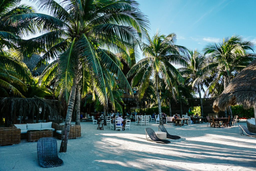 beach with palms at isla de holbox