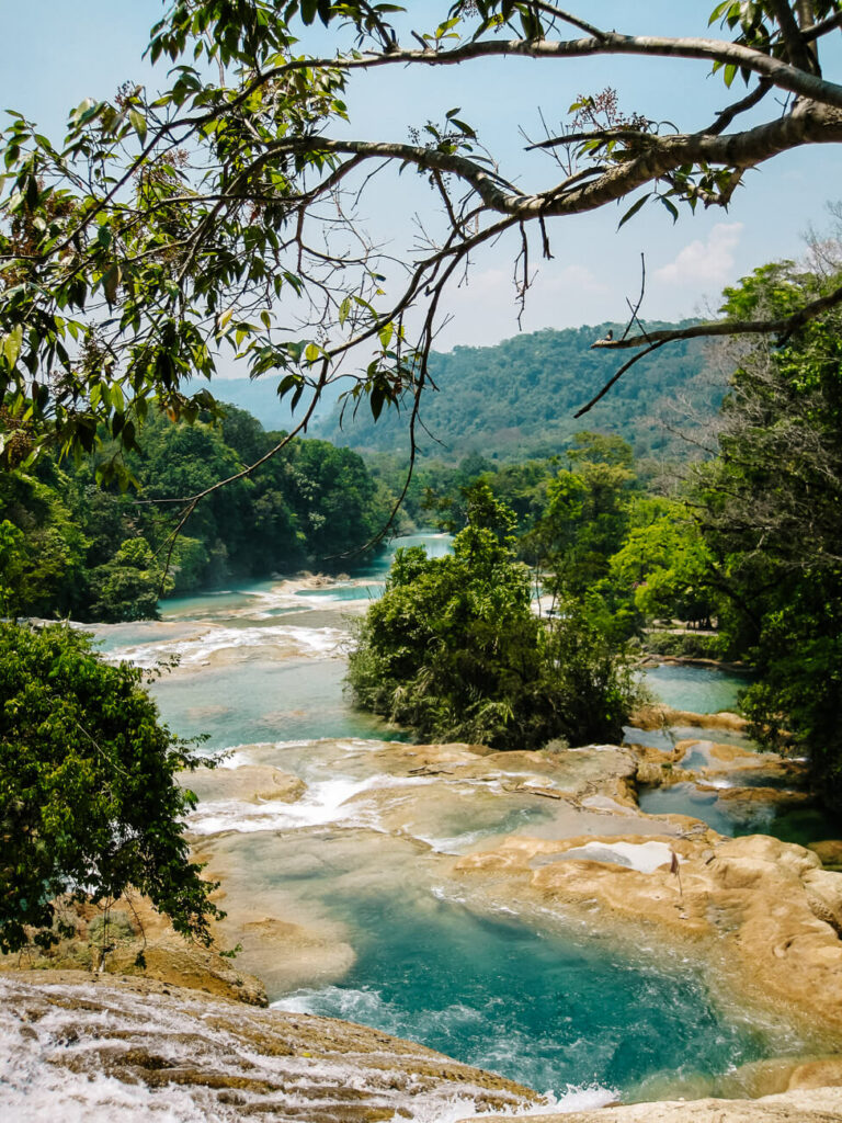 Explore the lush greenery and waterfalls of palenque, one of my travel tips for Mexico.