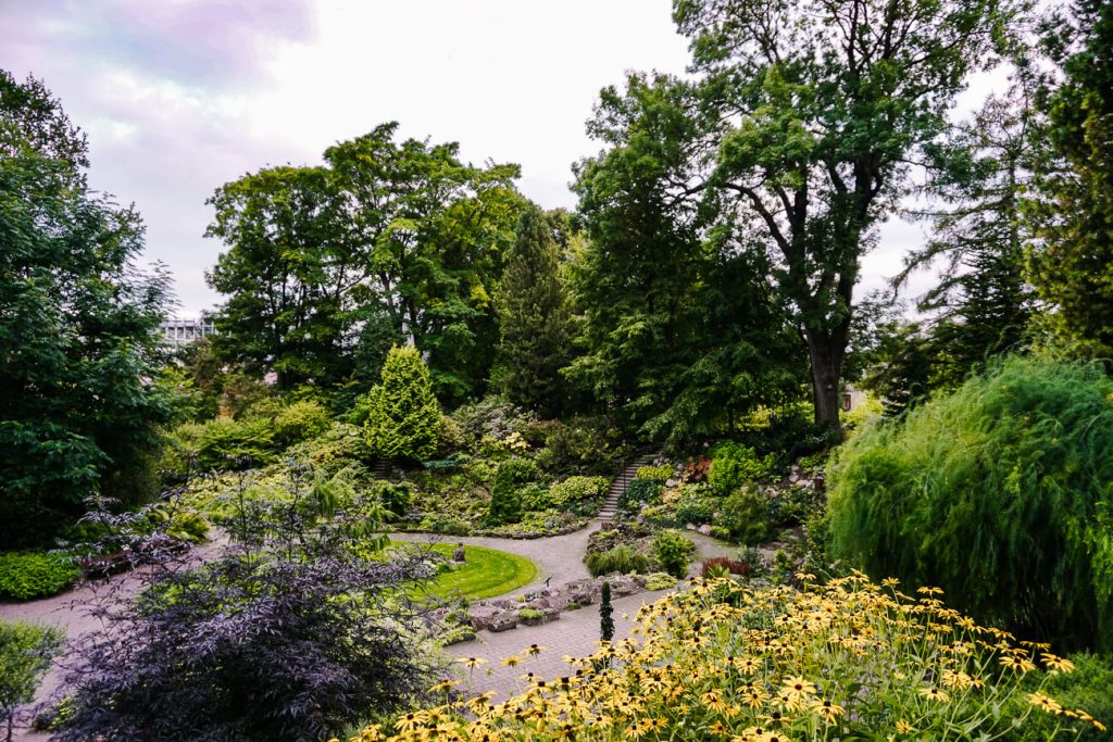view of Estonian botanical gardens