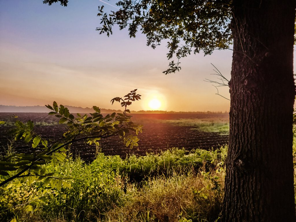 sunrise in Drenthe, enjoy an early morning tour in the Hondsrug with Eko-tours
