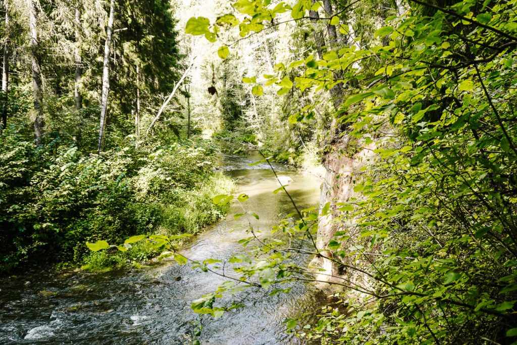 Forest trail - mooie wandelroute in Estland