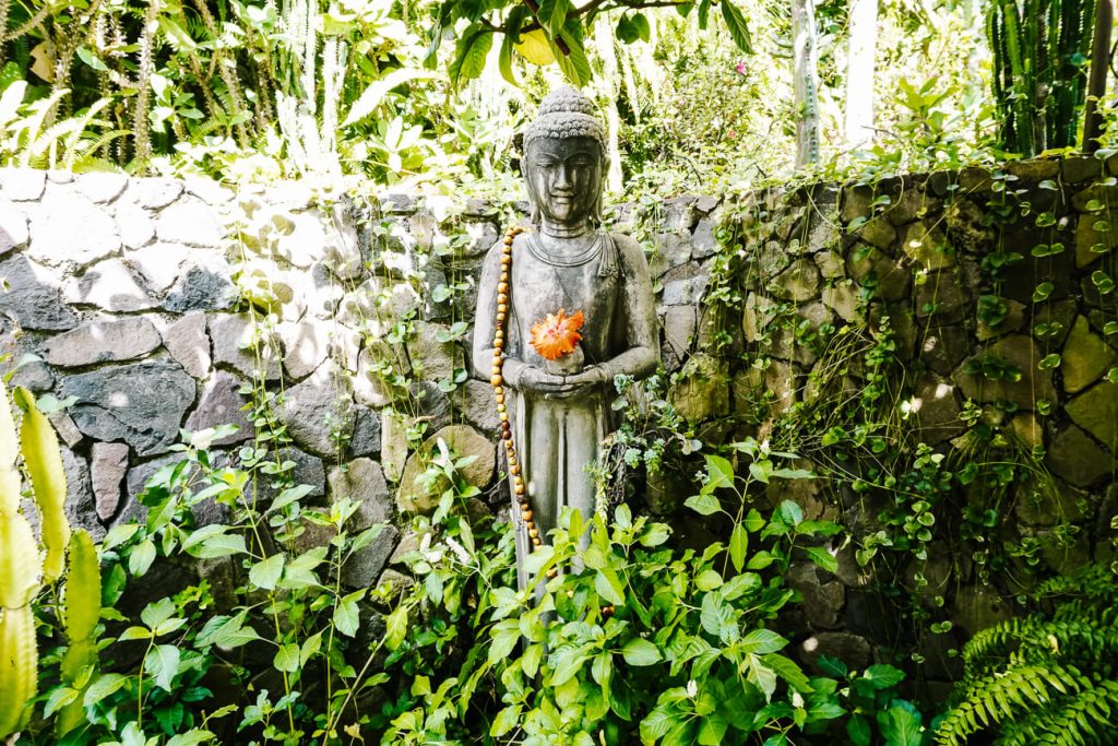 buddha surrounded by greenery