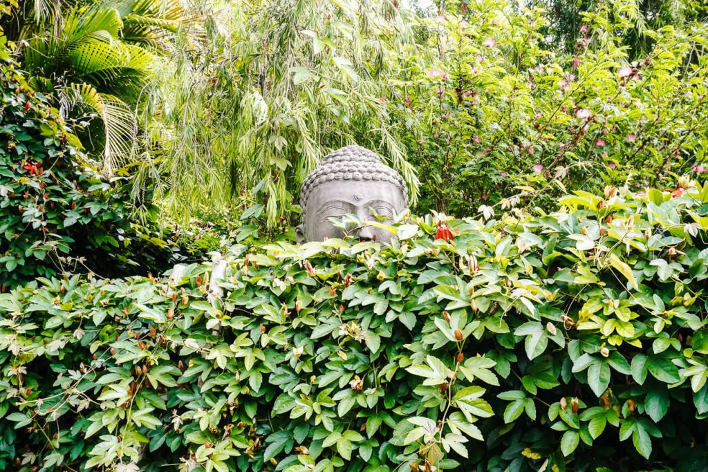 buddha statue surrounded by greenery