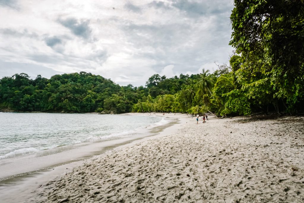 The beaches in Manuel Antonio National Park, one of the best things to do in Costa Rica.