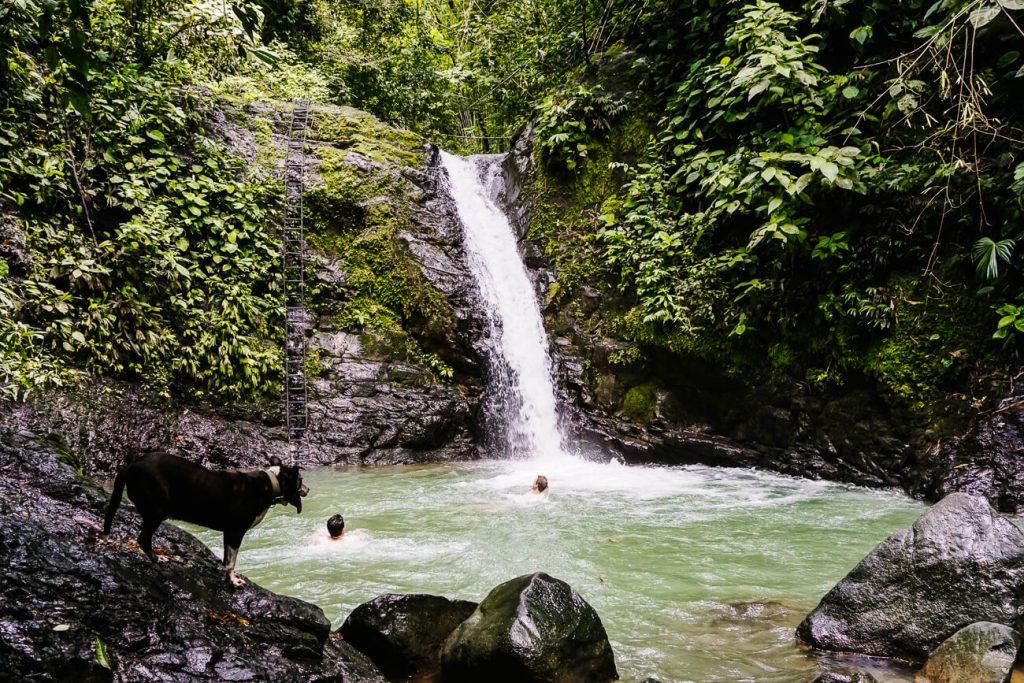 The waterfall of Uvita.