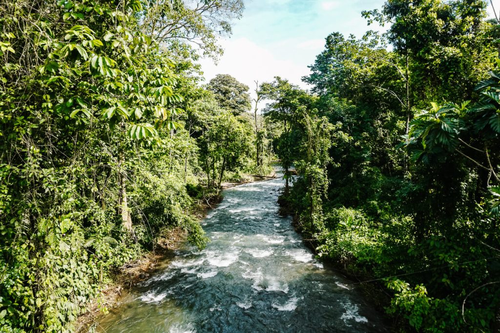 rivier in Tirimbina, een mooi natuurreservaat vlakbij het plaatsje Sarapiqui. Je kunt hier verschillende wandelingen maken door tropisch regenwoud, langs rivieren, over hangbruggen en door primair regenwoud.