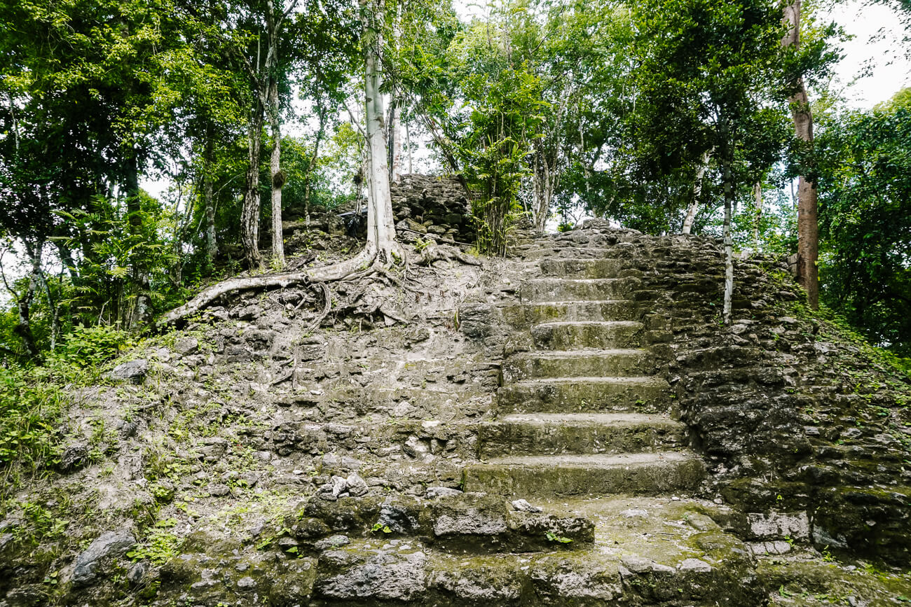 maya ruin covered by jungle in el mirador