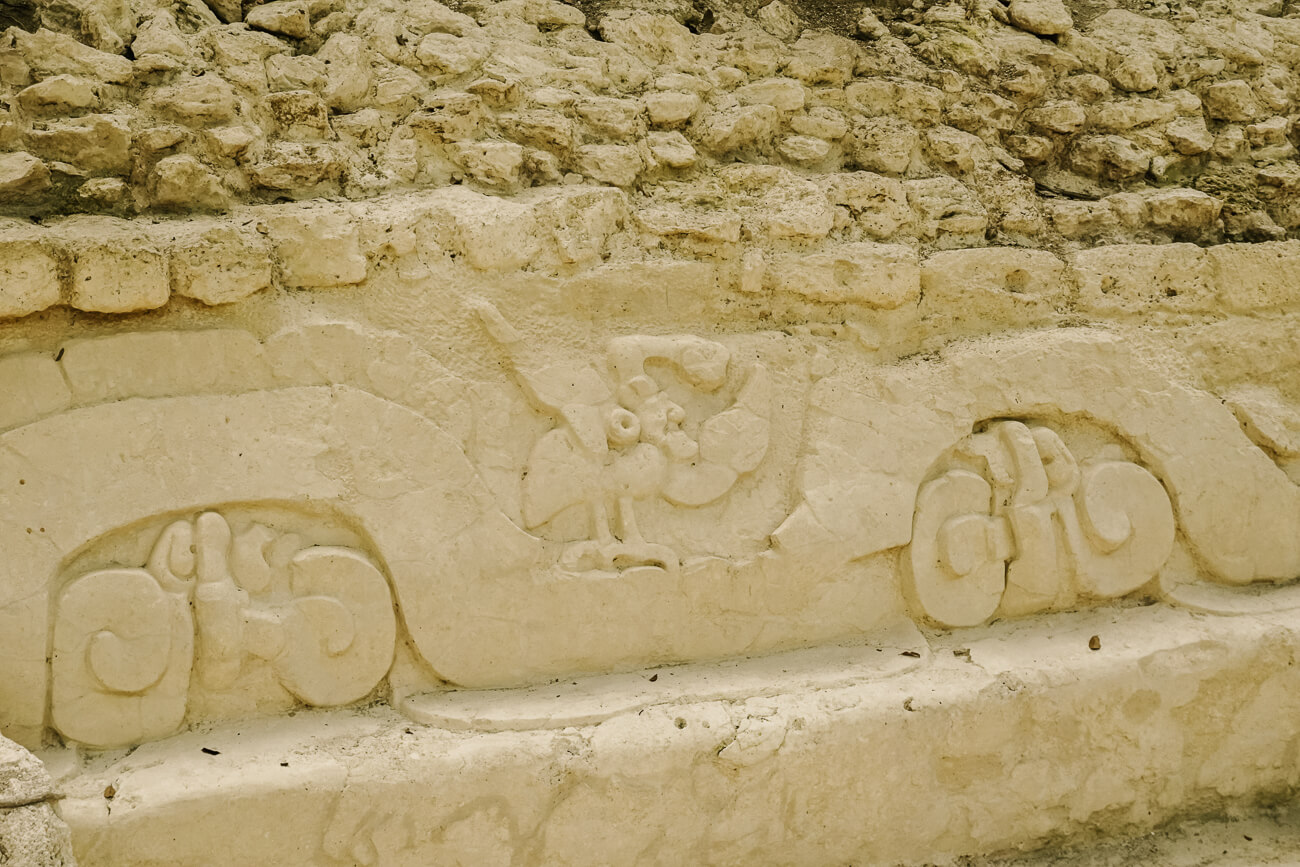 Maya hieroglyphs during tour in El Mirador Guatemala