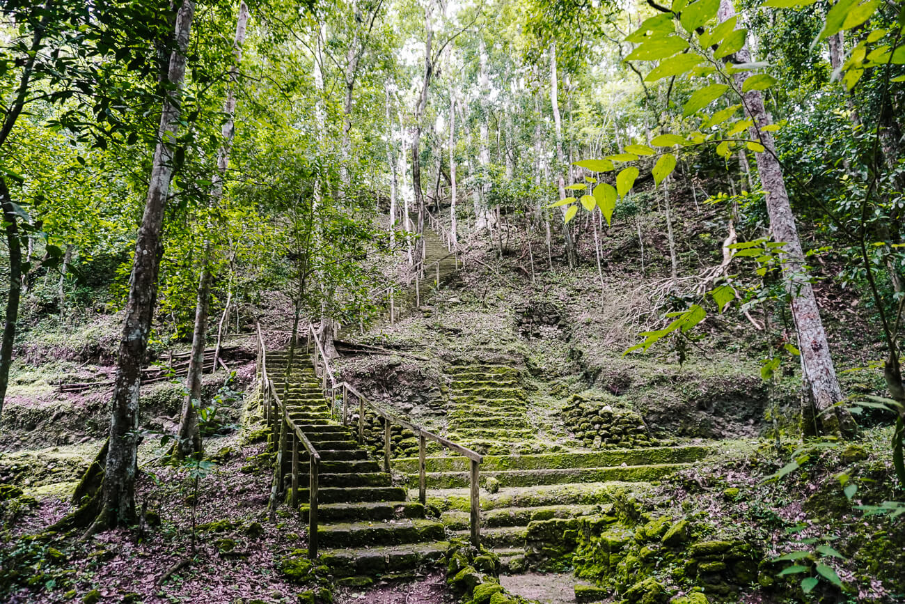 de trap naar de Maya tempel La Danta