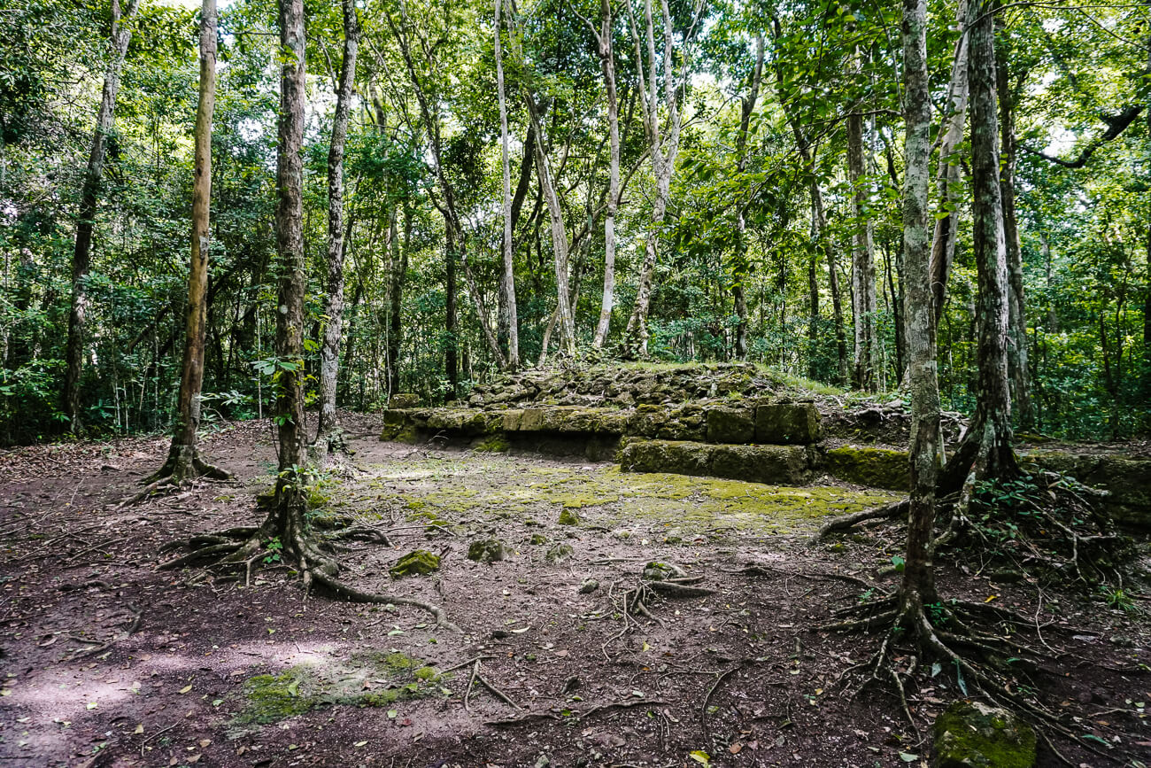 archeologische maya site Nakbe Guatemala