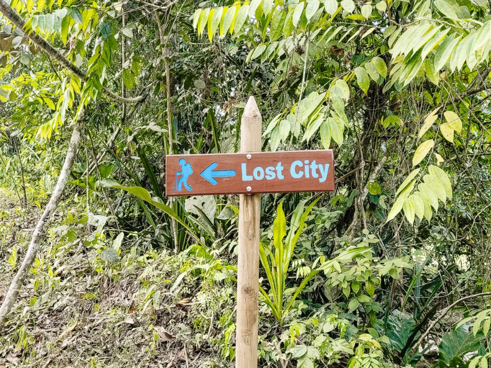Lost City bord