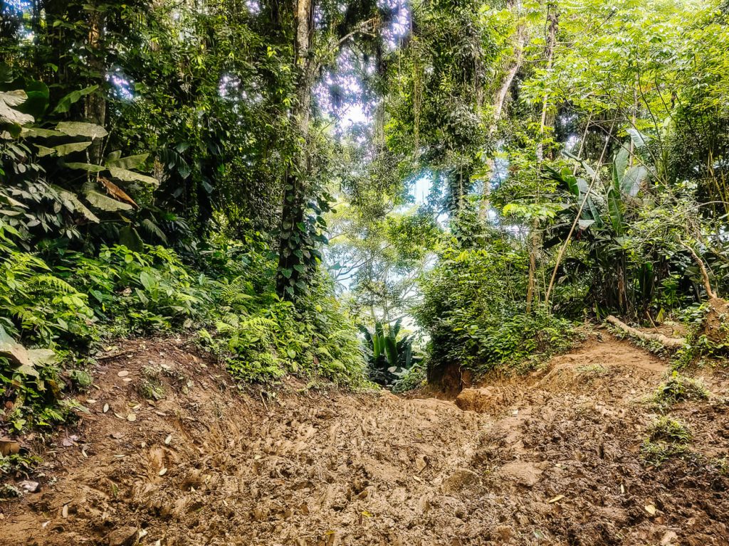 trail with mud and red sand during la Ciudad Perdida hike