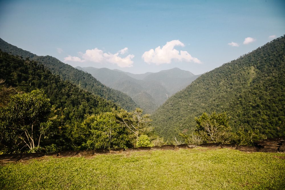 uitzicht op jungle en bergen vanaf Lost City in Colombia