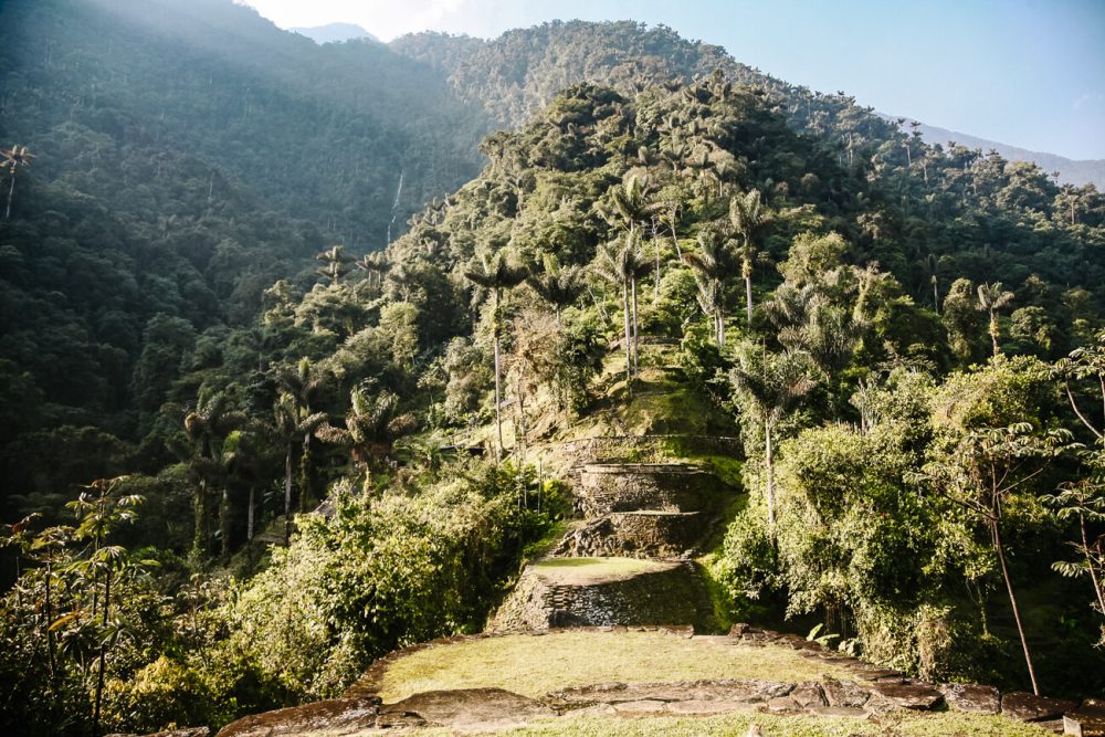 uitzicht op ruïnes, jungle en palmen van Lost City in Colombia