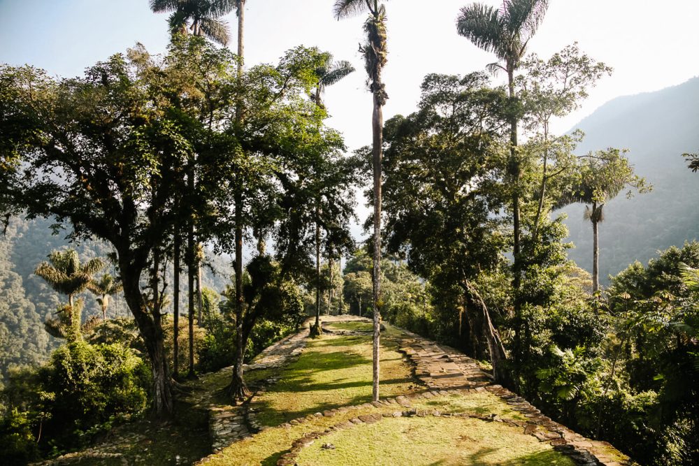uitzicht op ruïnes en hoge palmen in Lost City in Colombia