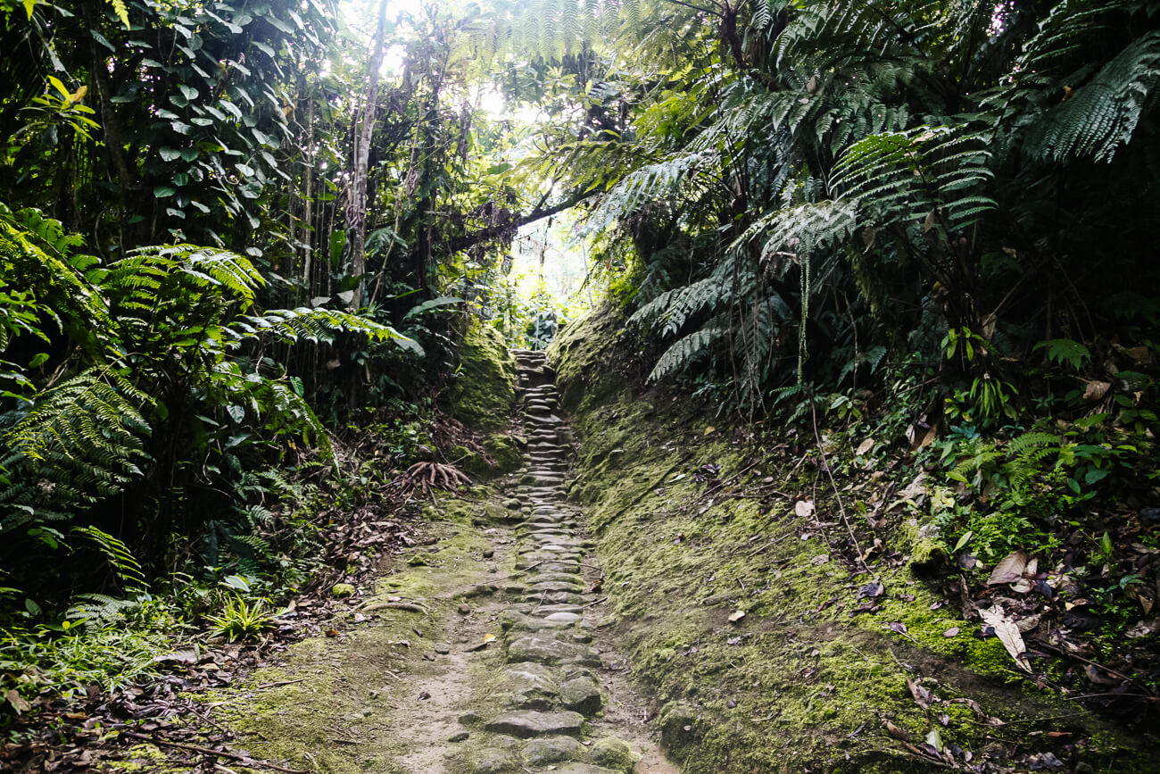stairs (1250 steps) to Lost City in Colombia