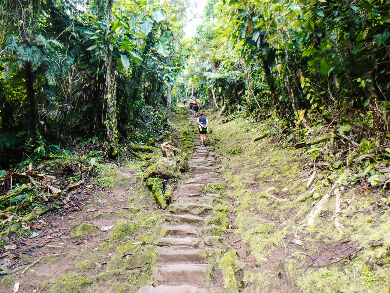 stairs (1250 steps) to Lost City in Colombia